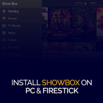 PC と Firestick に ShowBox をインストールする