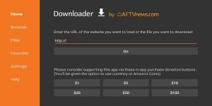 Figura 10 Installazione del downloader