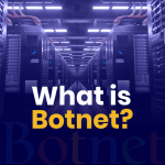What is a Botnet