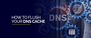 DNS キャッシュをフラッシュする方法