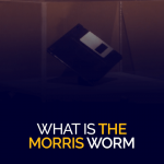 What is the Morris Worm