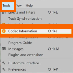 Informazioni sul codec dello strumento