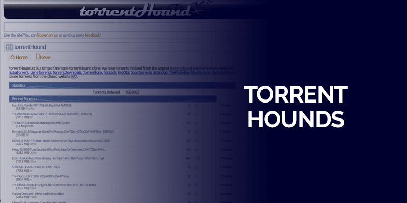 TorrentHound
