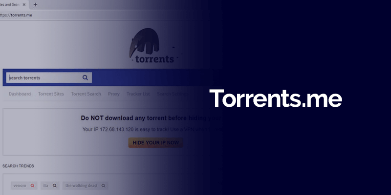 torrent.me