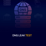 Проверка на утечку DNS