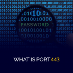 Vad är Port 443