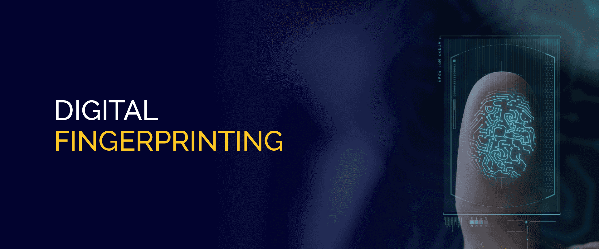 Digital Fingerprinting