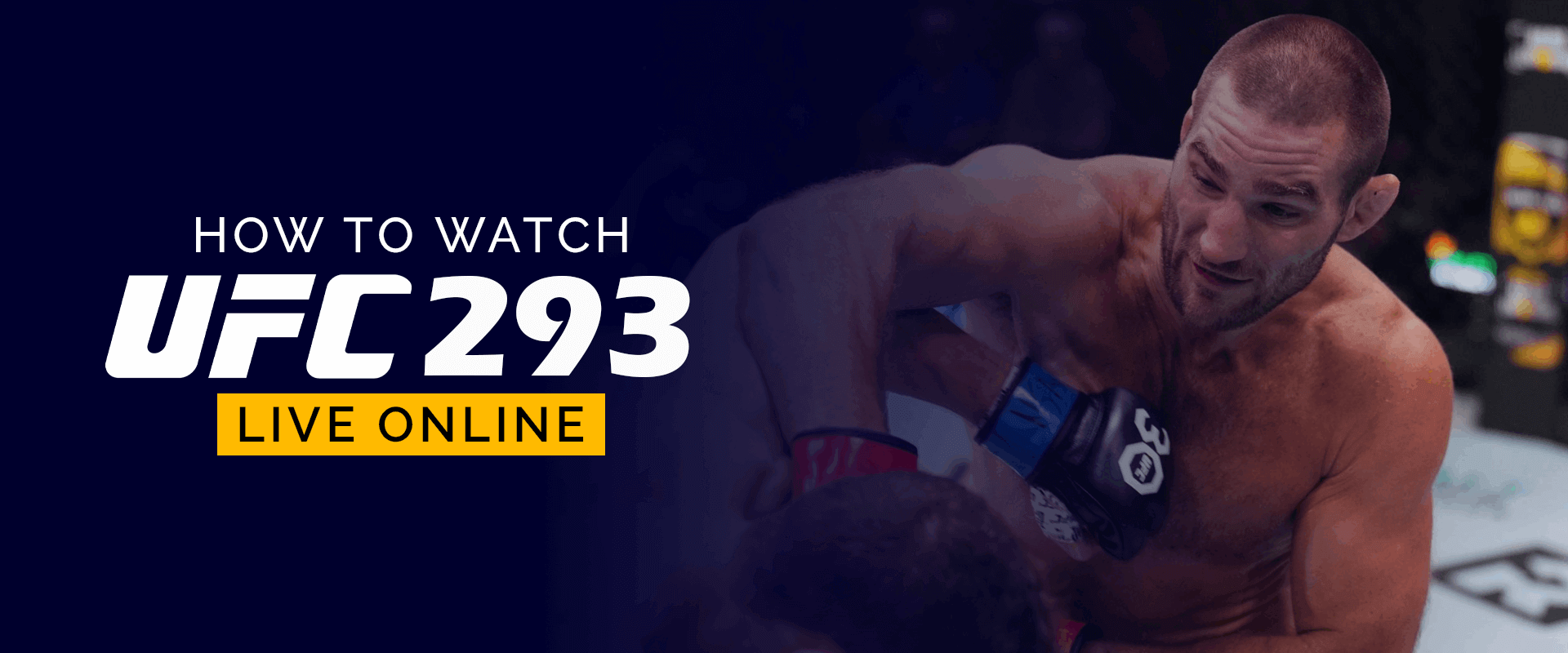 How to Watch UFC 293 Live Online