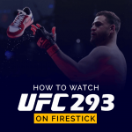 How to Watch UFC 293 on Firestick