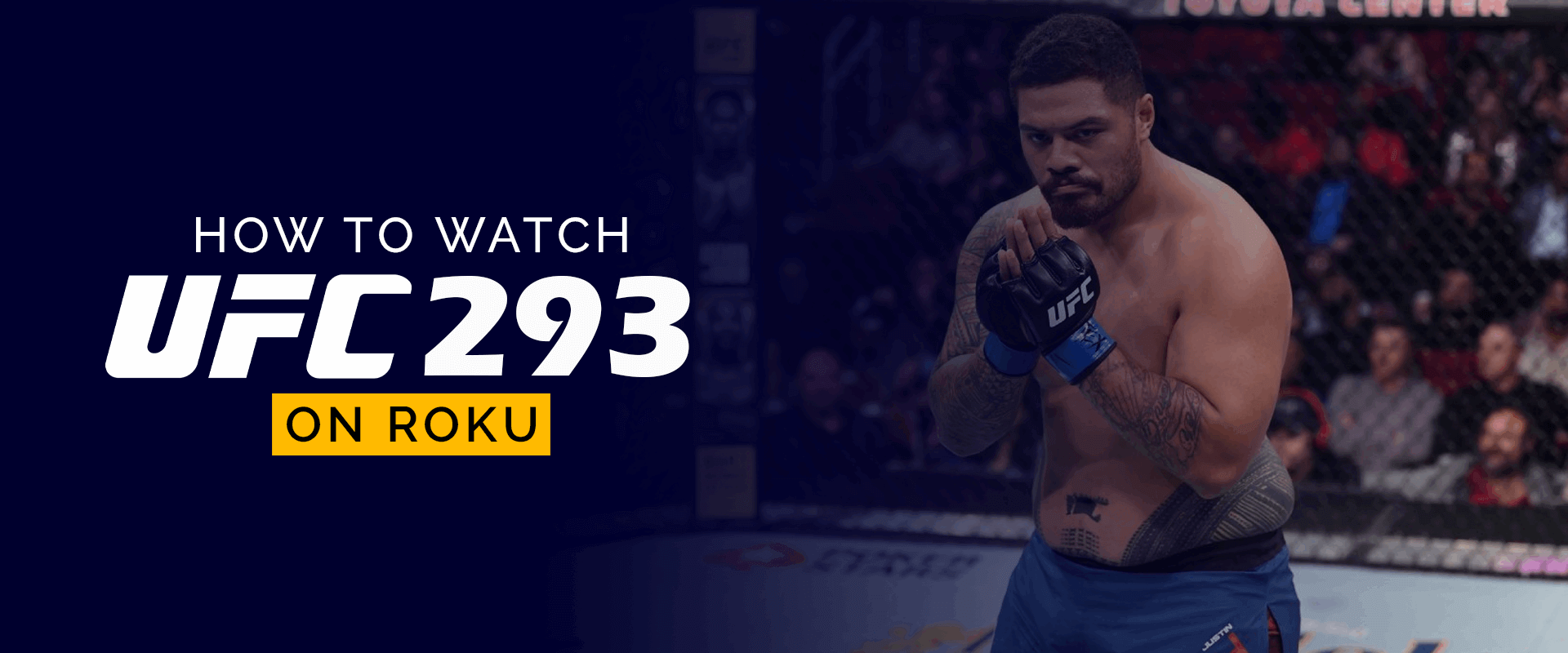 How to Watch UFC 293 on Roku