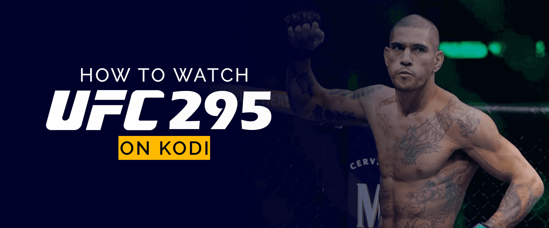 How to Watch UFC 295 on Kodi