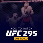 كيفية مشاهدة UFC 295 على Roku