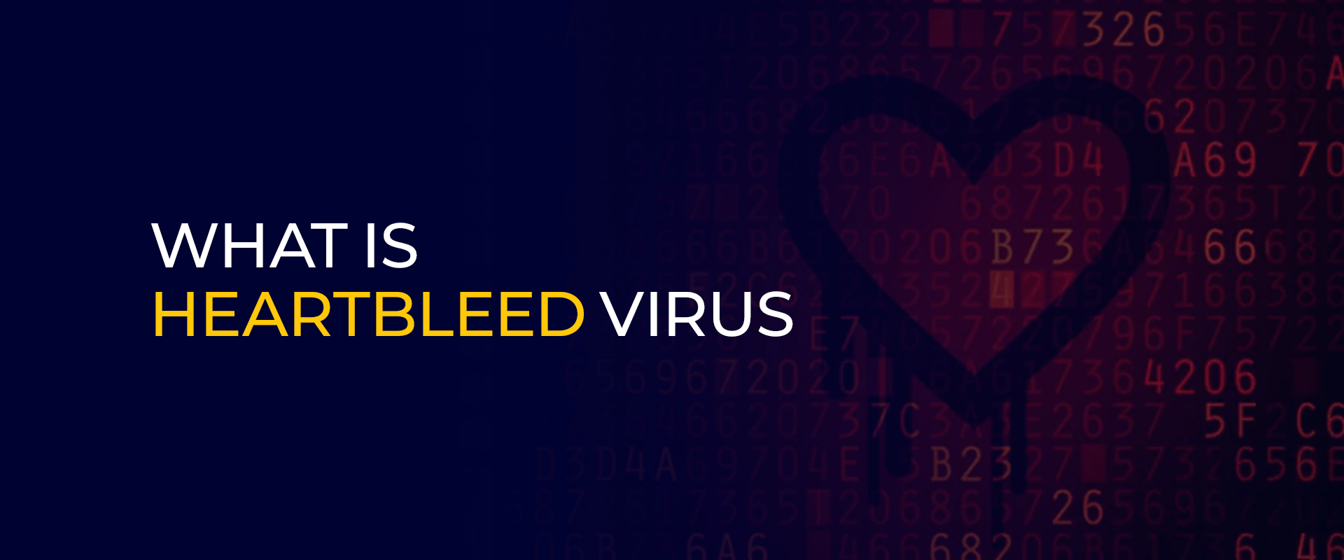 Heartbleed Virüsü Nedir?