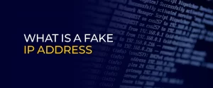 What is a Fake IP Address 