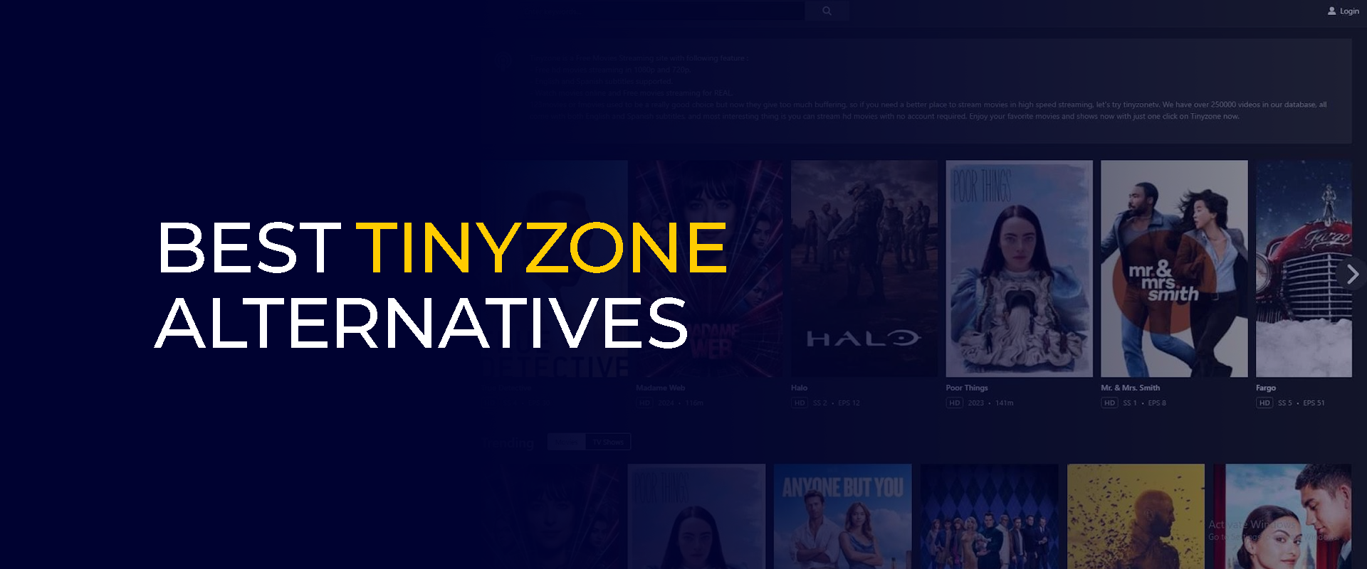 TinyZone Alternatives Banner