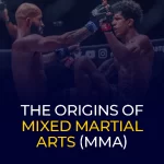 The Origins of Mixed Martial Arts (MMA)