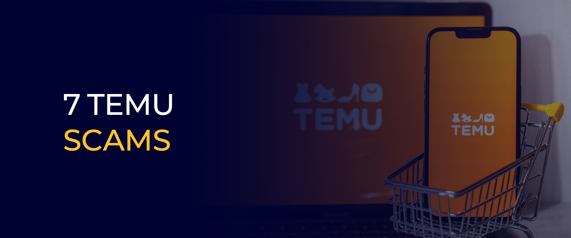 Temu Scams