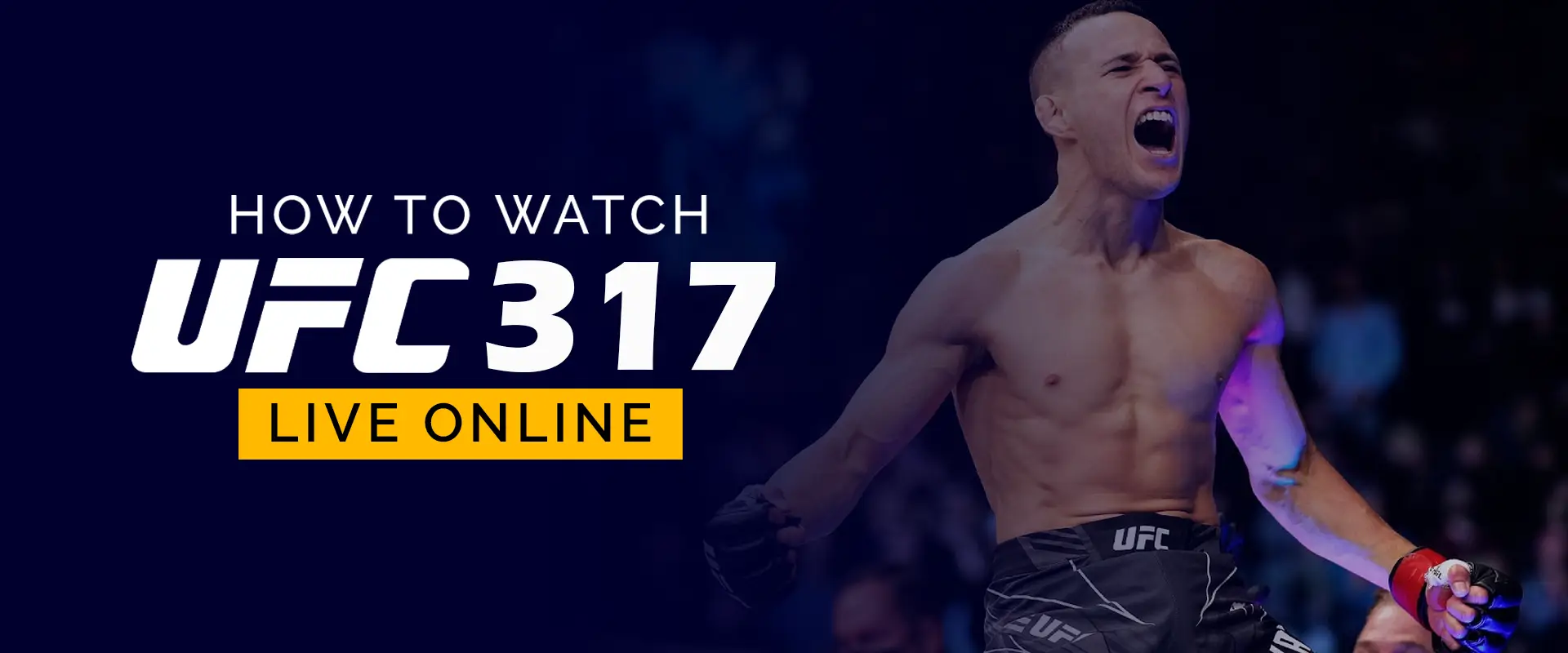 Watch UFC 317 Live Online 