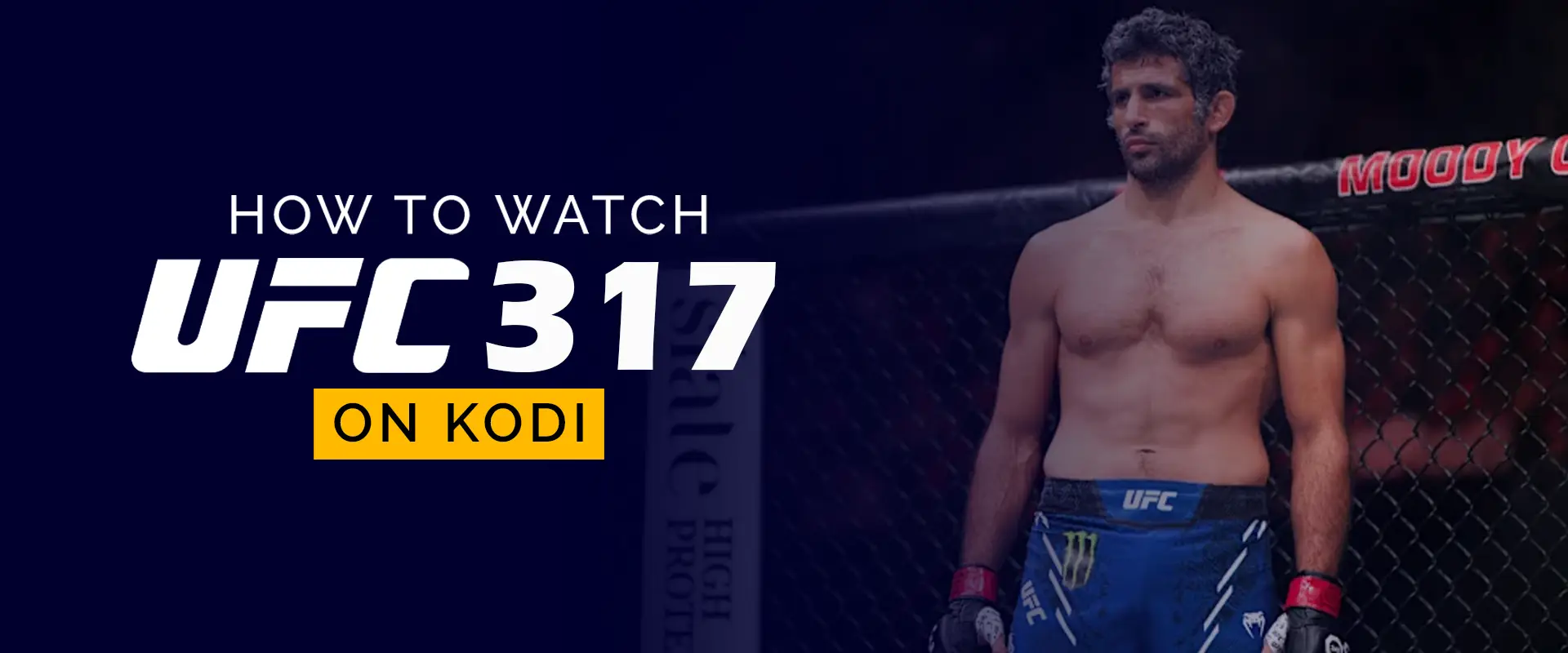 Watch UFC 317 on Kodi 