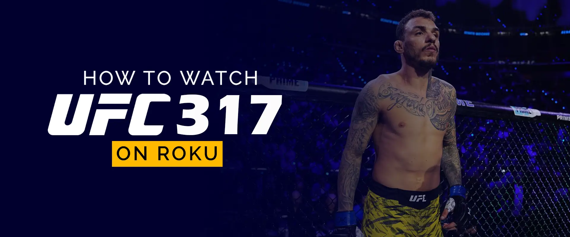 Watch UFC 317 on Roku 