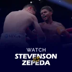 Shakur Stevenson vs William Zepeda