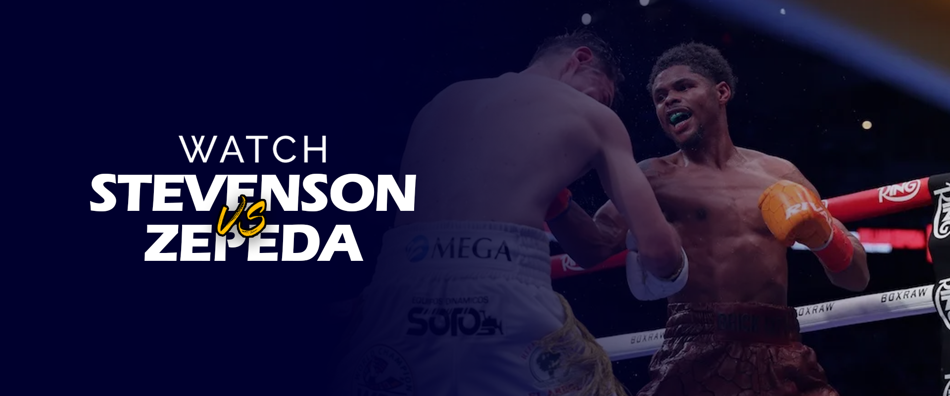 Shakur Stevenson vs William Zepeda