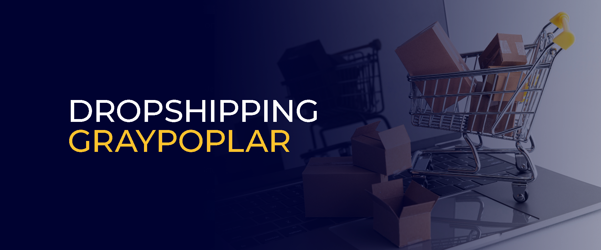 Dropshipping GrayPoplar