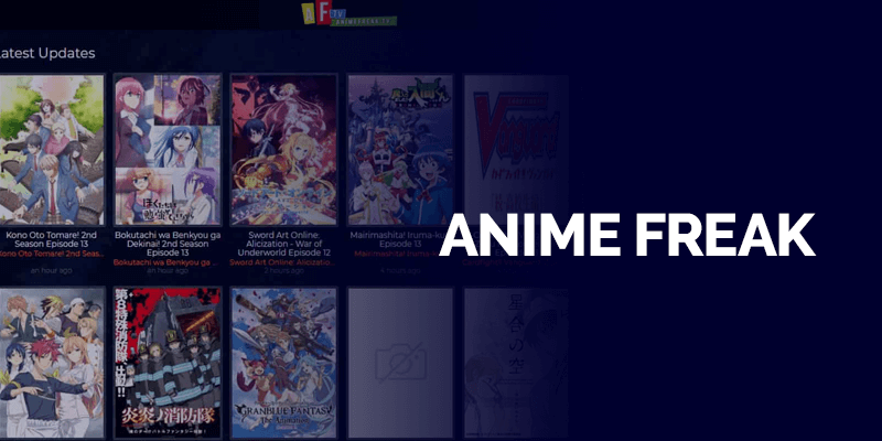 Anime Freak Anime Freak