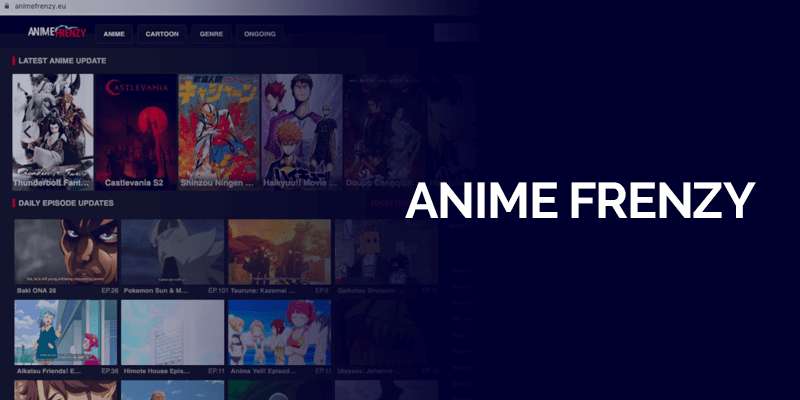 Anime Frenzy