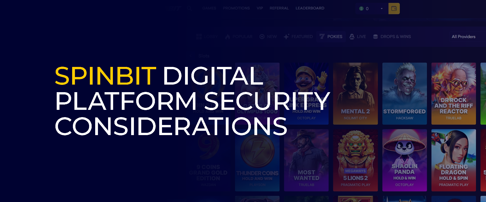 Spinbit Digital Platform Security Considerations