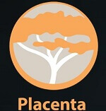 Placenta - Best Kodi Addons best kodi addons placenta