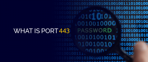 What is Port 443