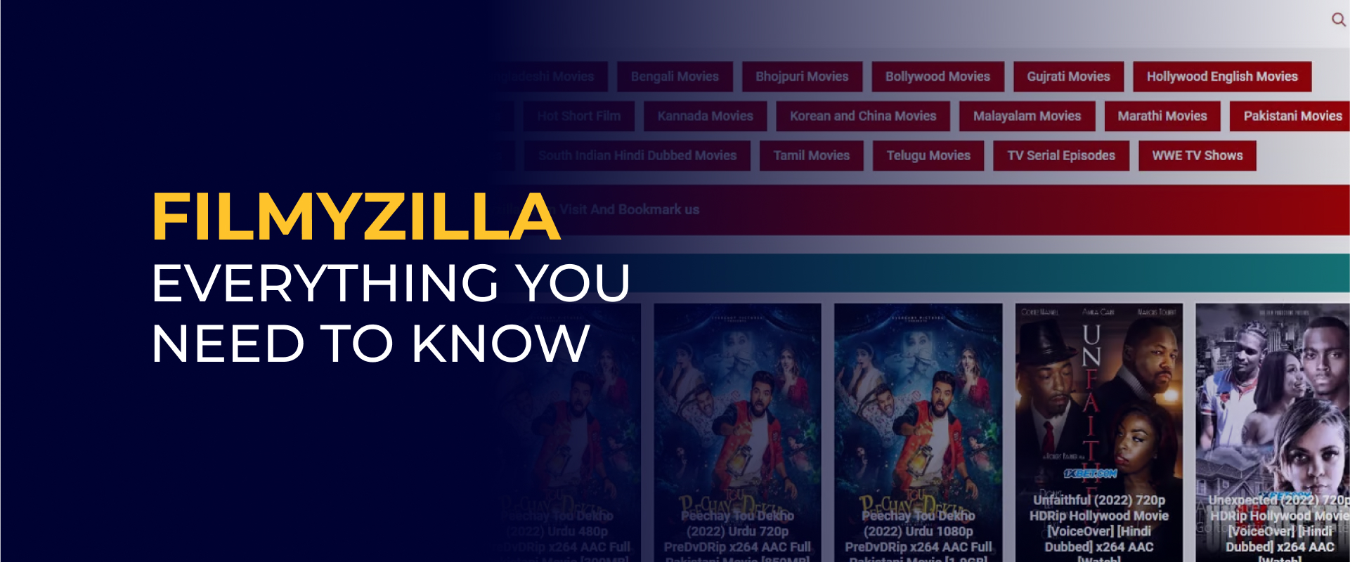 Filmyzilla Everything You Need to Know 