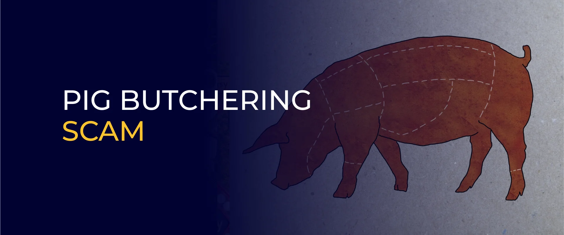 Pig Butchering Scam 